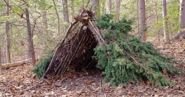 10 Deadly Survival Mistakes You Must Avoid Now