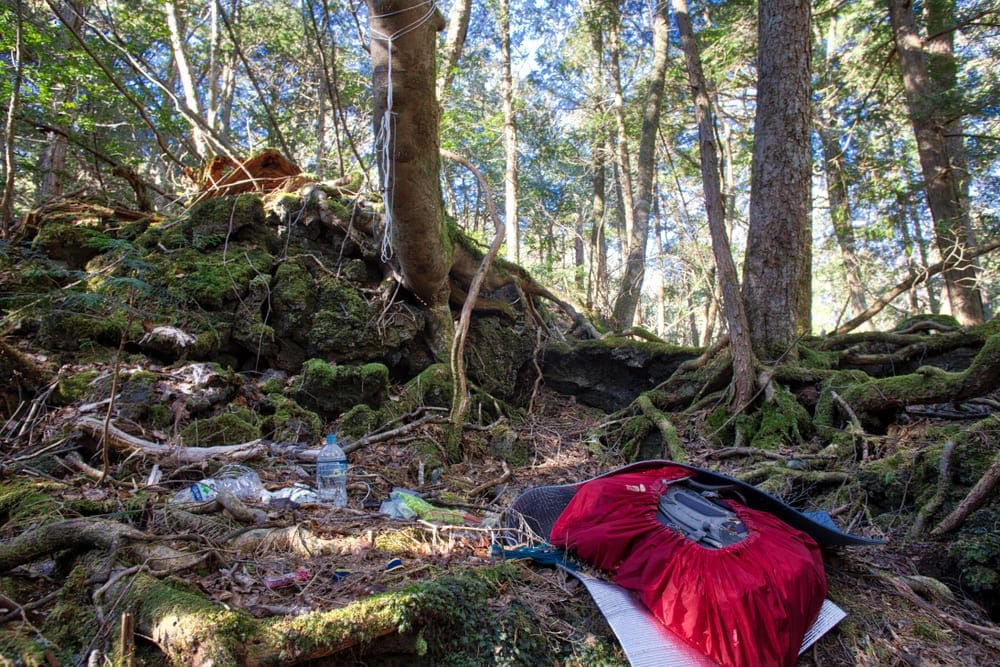 Personal items scattered in the forest