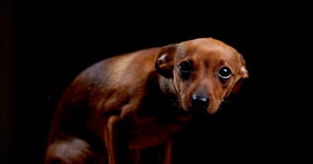 10 Vets Gone Bad: Shocking Criminal Cases