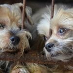 10 Surprisingly Un-Canceled Things in Today's World