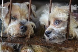 10 Surprisingly Un-Canceled Things in Today's World