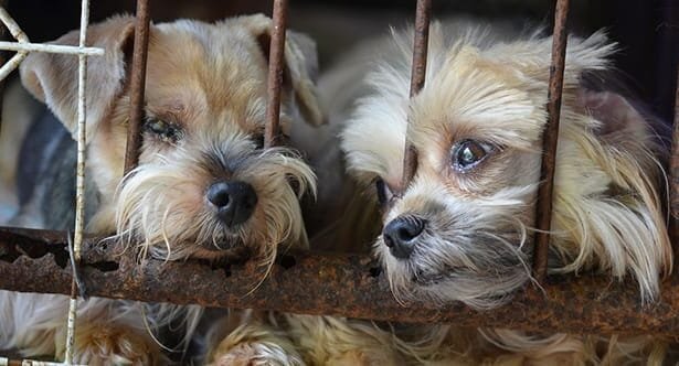 10 Surprisingly Un-Canceled Things in Today's World