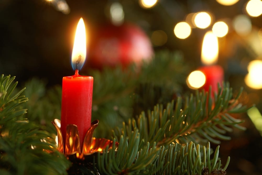 lit candles on a Christmas tree