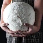 Sci-Fi Fungi: 10 Real Mushrooms That Seem Unreal