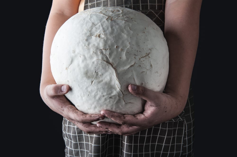 Giant Puffball