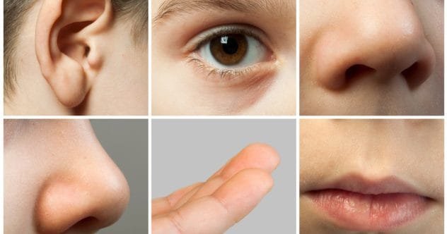 10 People With Extraordinary Heightened Senses You Won't Believe
