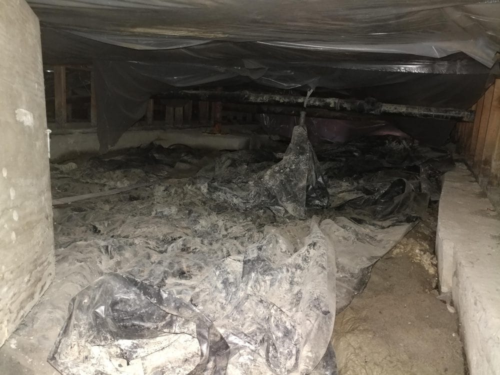 Dark crawl space under a house