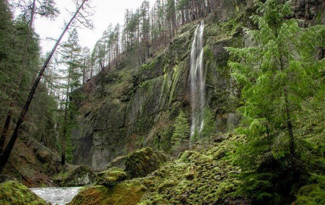 A steep, rocky cliff face in a dense, forested mountain area.