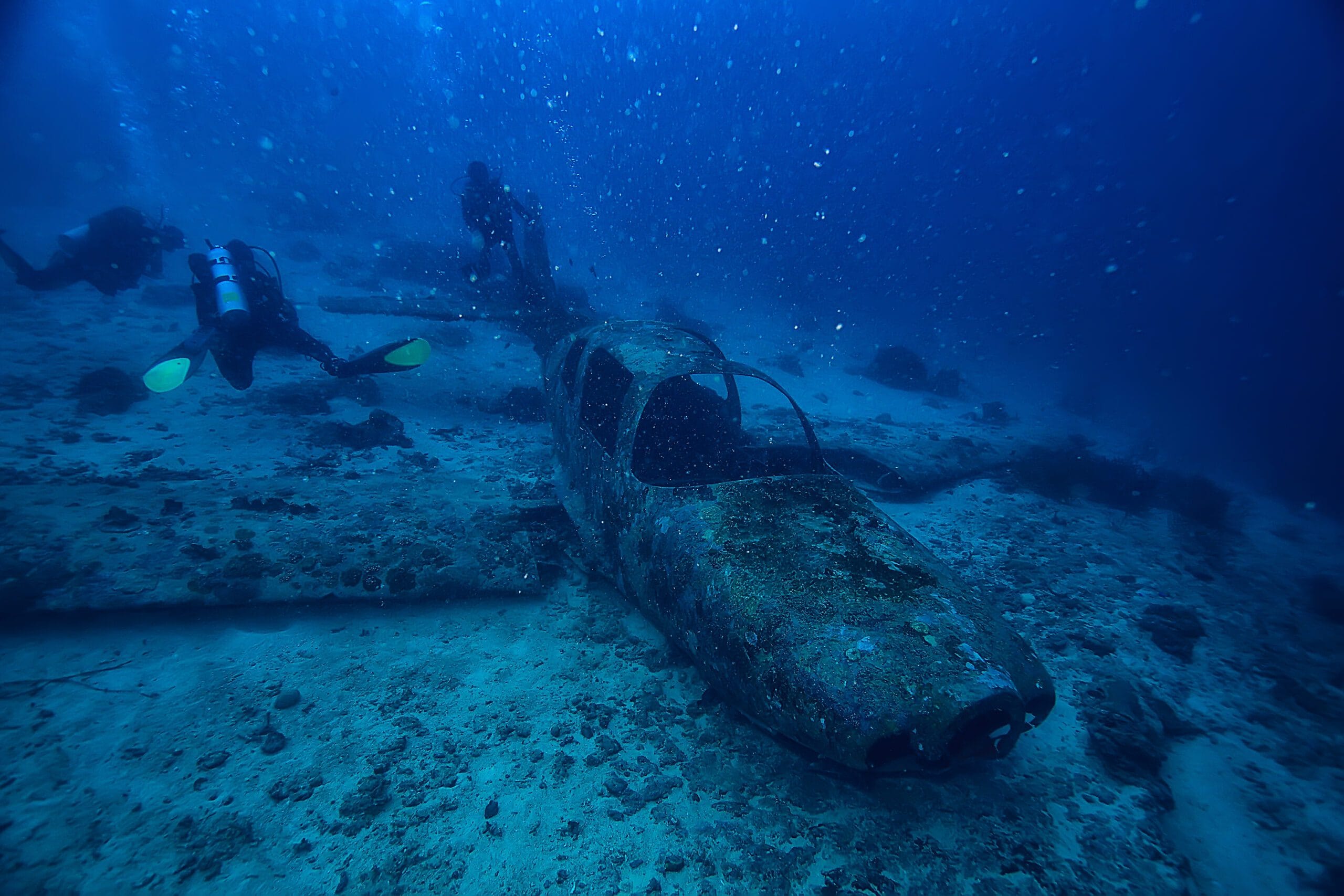 Underwater view of marine snow