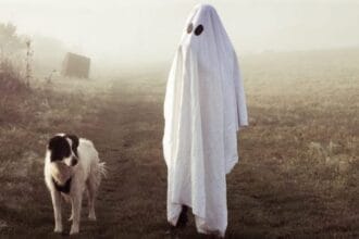 10 Ghost Hunting Dogs: Canine Paranormal Investigators