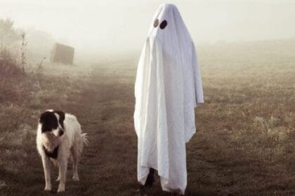 10 Ghost Hunting Dogs: Canine Paranormal Investigators