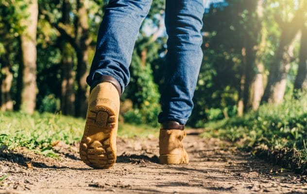 A winding trail through a dense forest in Shenandoah National Park.