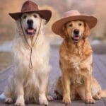 10 Astonishing Farms You Won't Believe Actually Exist!