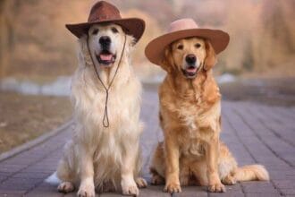 10 Astonishing Farms You Won't Believe Actually Exist!