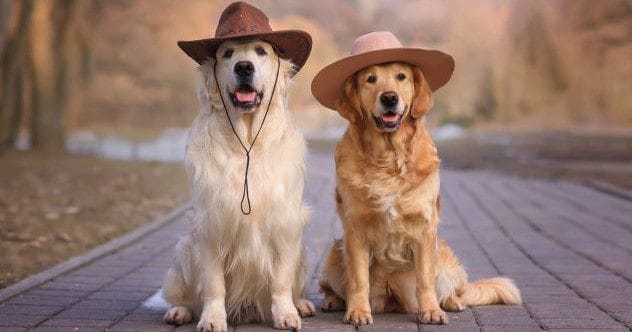 10 Astonishing Farms You Won't Believe Actually Exist!