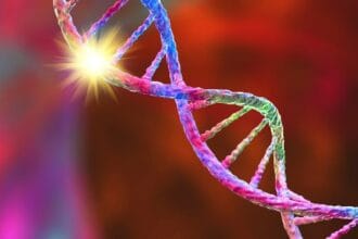 10 Common Human Genetic Mutations Explained