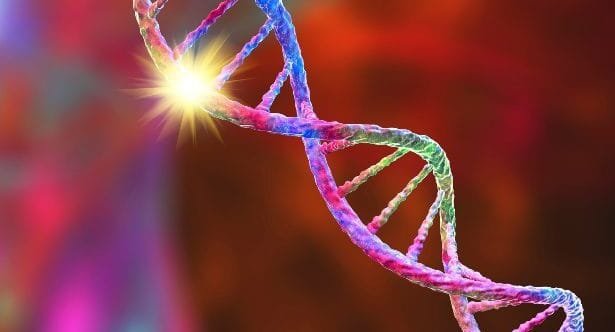 10 Common Human Genetic Mutations Explained