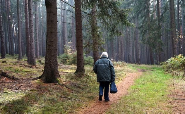 A scenic overlook in Shenandoah National Park with mountains in the distance.