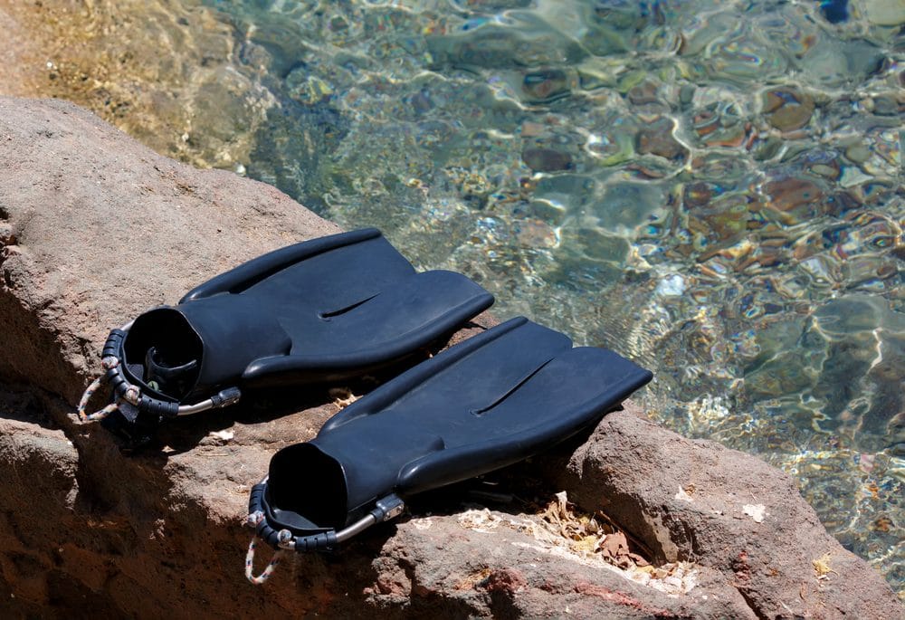 Diver in open water searching for abalone.