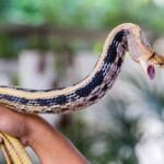 10 Weirdest Farms Around the World: You Won't Believe #7!