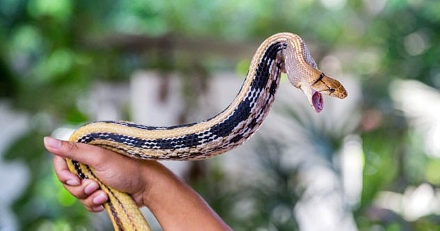 10 Weirdest Farms Around the World: You Won't Believe #7!