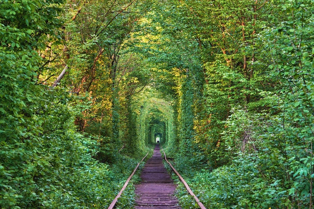 Tunnel of Love, Ukraine