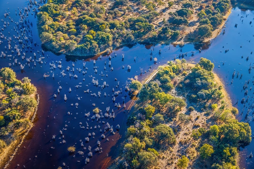 Kubu Island in Botswana