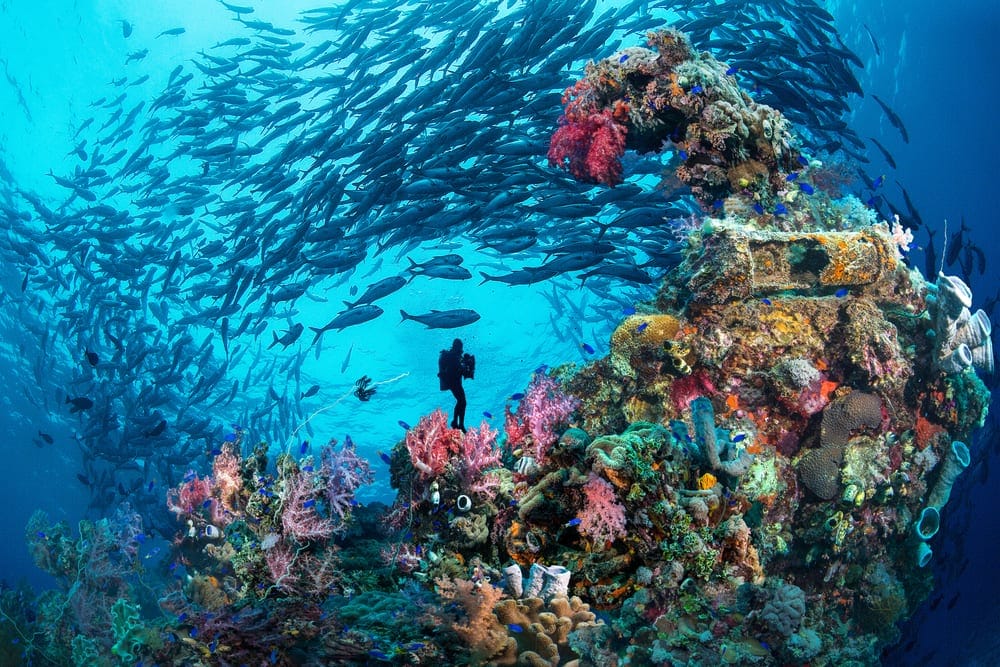 Chuuk Lagoon, Federated States of Micronesia