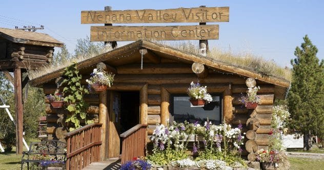 A dense Alaskan forest, symbolizing the wilderness where Frank Minano disappeared.