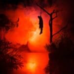 Suicide Forest: 10 Disturbing Facts About Aokigahara