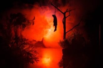 Suicide Forest: 10 Disturbing Facts About Aokigahara