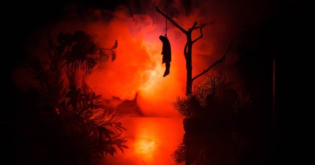 Suicide Forest: 10 Disturbing Facts About Aokigahara