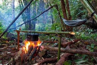 10 Essential Survival Skills You Need to Know Now