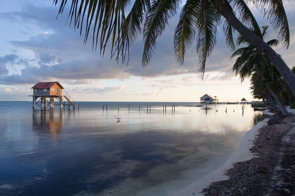 Diving in Ambergris Caye's Great Blue Hole