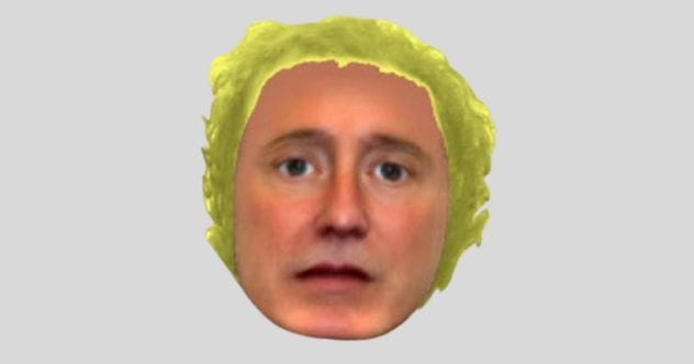 E-FIT composite sketch of a suspect with hair resembling lettuce.