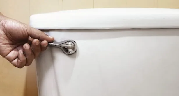 Toilet Tales: 10 Weirdest Things People Flushed!