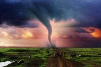 Deadly Disasters Caught on Camera: Top 10 Home Videos