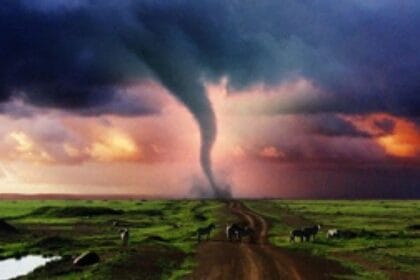 Deadly Disasters Caught on Camera: Top 10 Home Videos