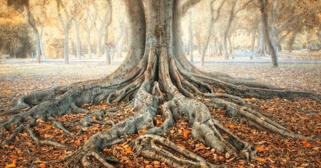 10 Deep Underground Wonders: Secrets Beneath Our Feet