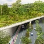 10 Amazing Facts: Wildlife Bridges & Animal Safety