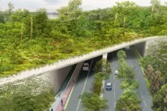 10 Amazing Facts: Wildlife Bridges & Animal Safety