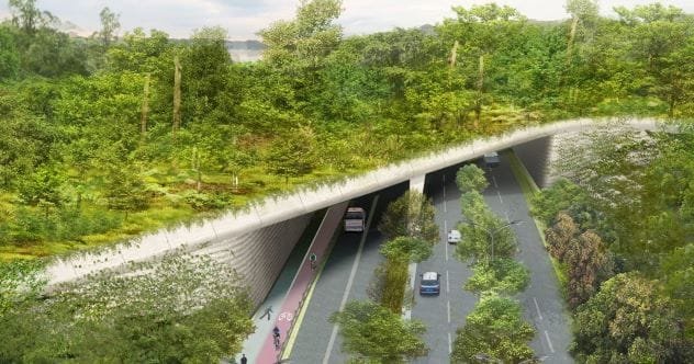 10 Amazing Facts: Wildlife Bridges & Animal Safety